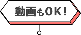 動画もOK